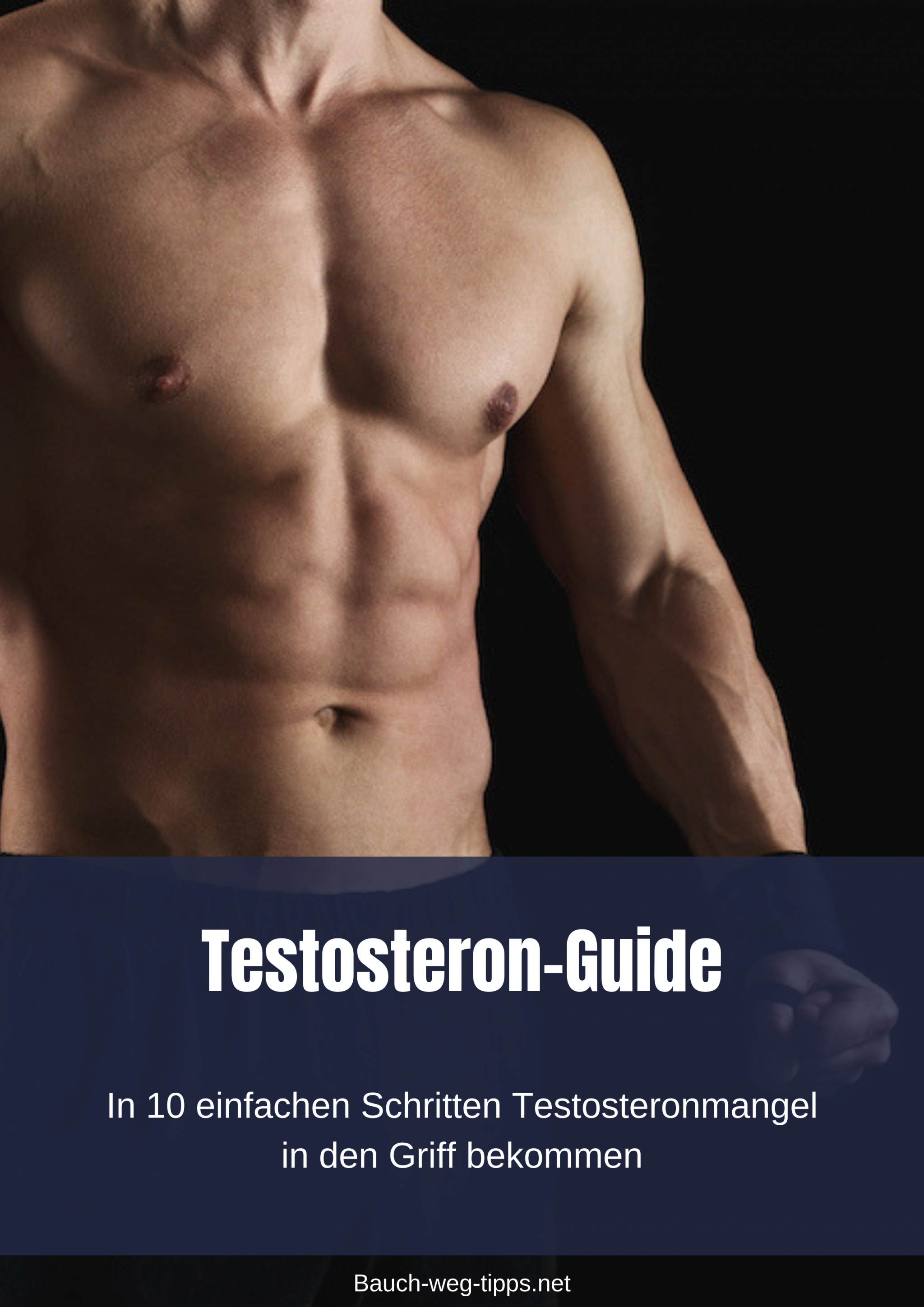 Testosteron Guide